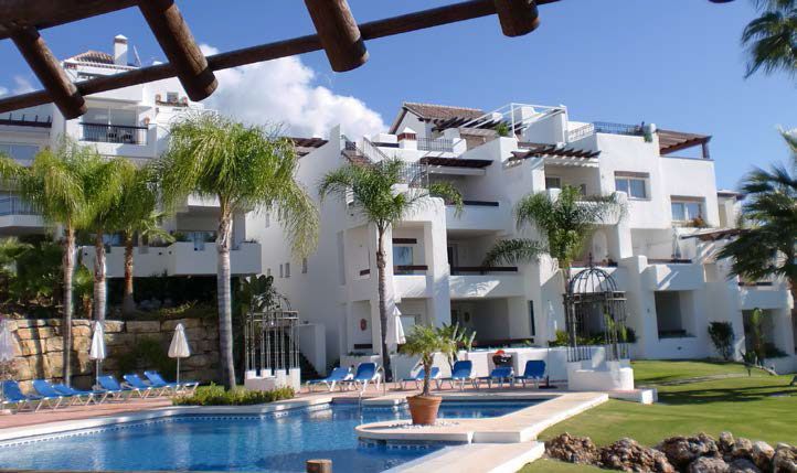 tortugas4